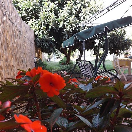 סנטה מריה לה פלמה Il Noce Alghero חדר תמונה